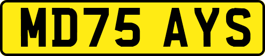 MD75AYS