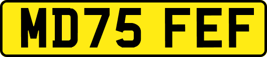 MD75FEF