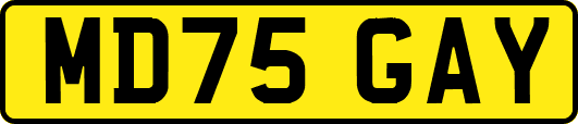 MD75GAY
