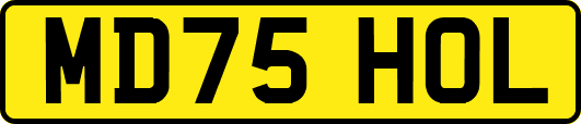 MD75HOL
