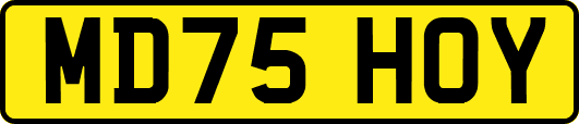 MD75HOY