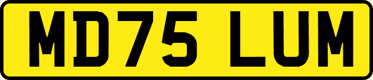 MD75LUM