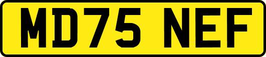 MD75NEF