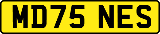 MD75NES