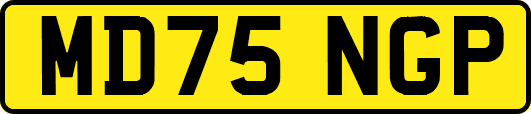 MD75NGP