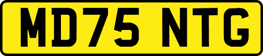 MD75NTG