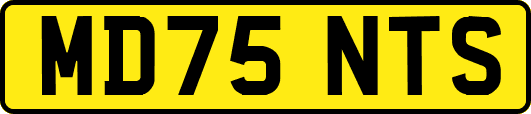 MD75NTS