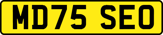 MD75SEO