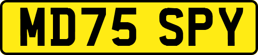 MD75SPY
