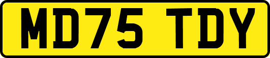 MD75TDY