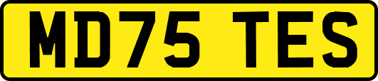 MD75TES
