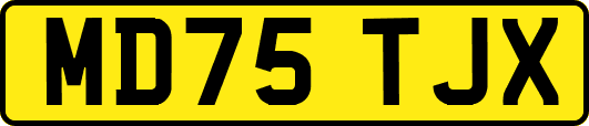 MD75TJX