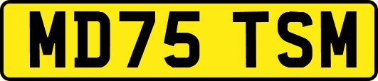 MD75TSM