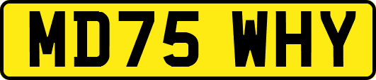 MD75WHY
