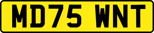 MD75WNT
