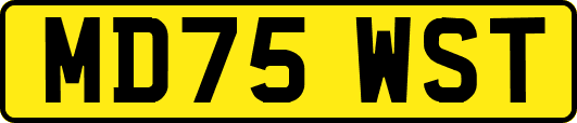 MD75WST