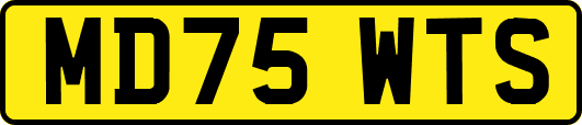 MD75WTS