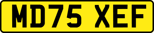 MD75XEF