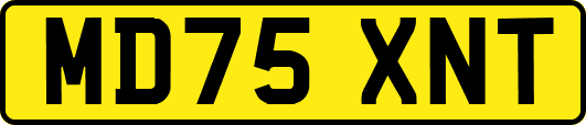MD75XNT