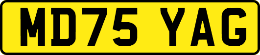 MD75YAG