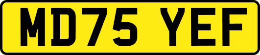 MD75YEF