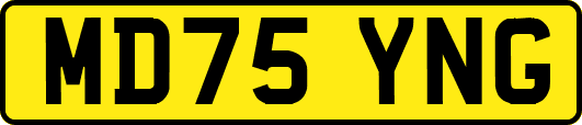 MD75YNG