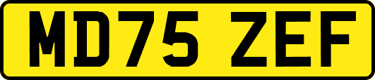 MD75ZEF