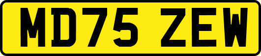 MD75ZEW
