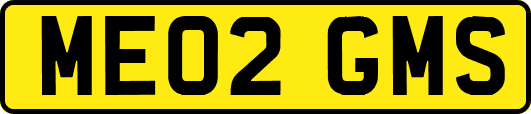 ME02GMS