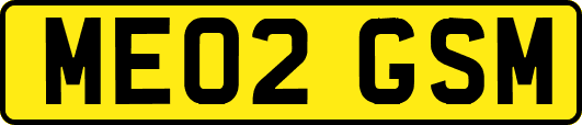 ME02GSM