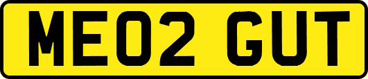 ME02GUT