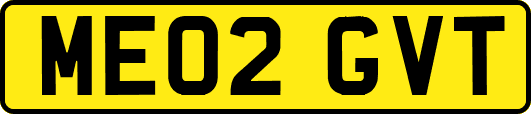 ME02GVT