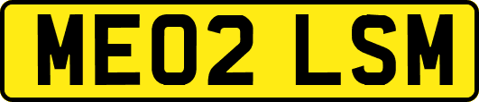 ME02LSM