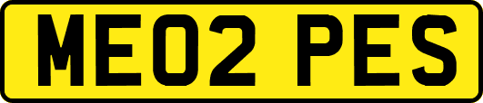 ME02PES