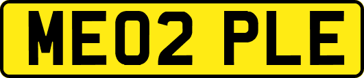 ME02PLE
