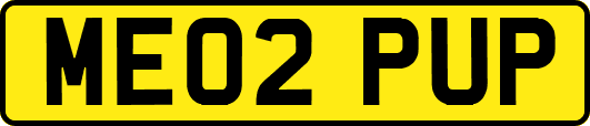 ME02PUP