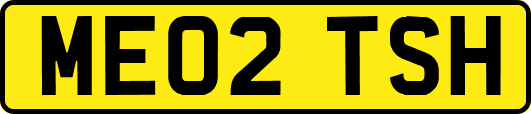 ME02TSH
