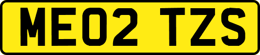 ME02TZS