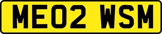 ME02WSM