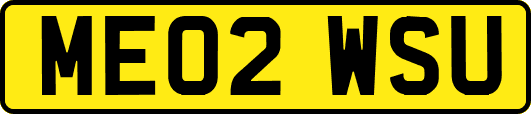 ME02WSU