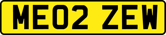 ME02ZEW