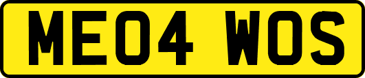 ME04WOS