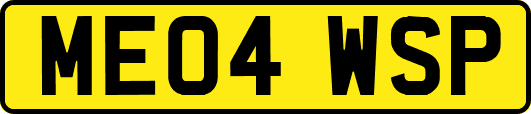 ME04WSP