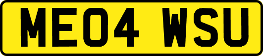ME04WSU