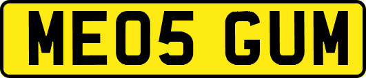 ME05GUM