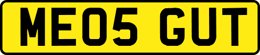 ME05GUT