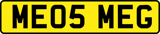 ME05MEG