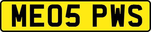 ME05PWS