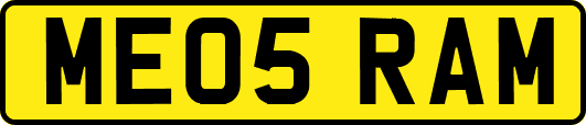 ME05RAM