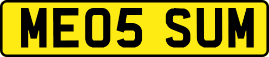 ME05SUM